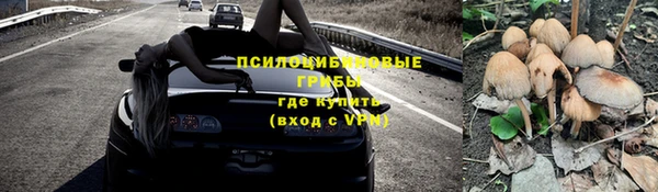 прущие крисы Бугульма